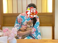 -柴犬小屋·柴餐厅·狗咖食堂(金鼎广场店)