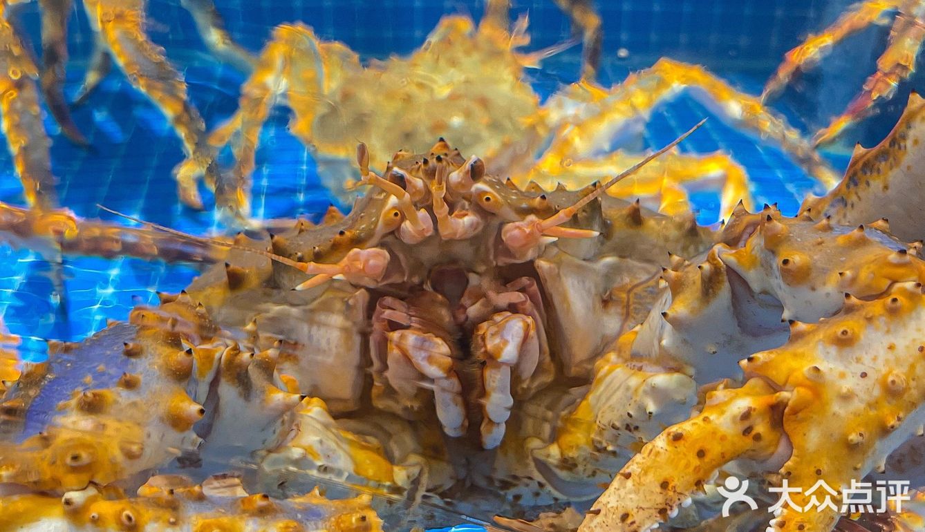 南城新开海鲜店💥也是太绝了吧🐠