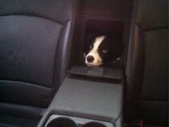 -大玩家超乐场(高新万达店)