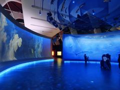 -深海中餐厅(国家海洋博物馆店)