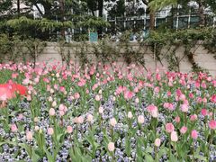 -静安公园(静安寺街道)