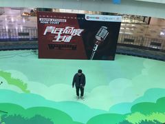 -鹏欣水游城