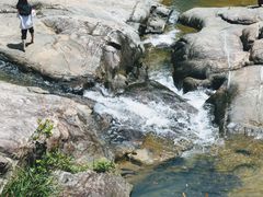 -广州白江湖森林公园