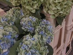 -阿姨奶茶专卖(舌涧道杭州惠民路创始店)