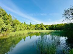 -上海吴淞炮台湾国家湿地公园