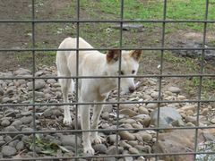 -费瑟代尔野生动物园