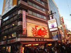 -蟹道乐(道顿堀本店)