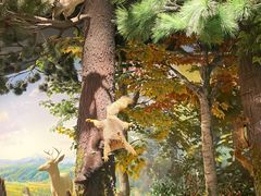 -陕西自然博物馆