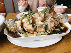 清蒸鲈鱼-沈记菜馆(酒仙桥路店)