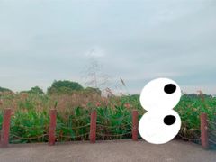 -海上田园
