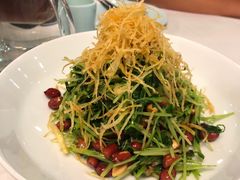 巧拌豆苗-天和晟烤鸭店(世纪坛店)