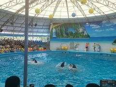 -尼莫海豚馆