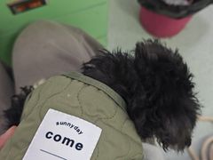 -汪喵宠物医院·骨科心脏影像·犬猫急重症ICU诊疗中心(成华分院)