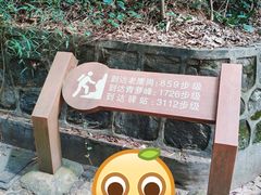 -滴水岩森林公园
