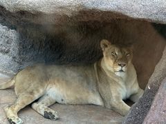 -北京野生动物园