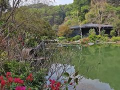-云溪植物园