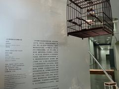 -上海当代艺术博物馆