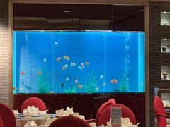 -阳澄湖费尔蒙酒店颐丰阁中餐厅(马鞍山西路店)