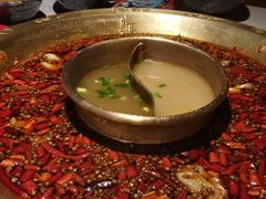 -哥老官重庆美蛙鱼头(龙湖杭州金沙天街店)
