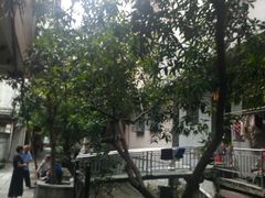 -小洲村
