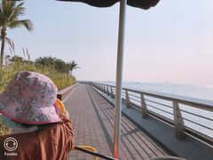 -野狸岛