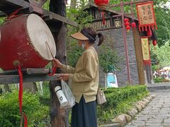 -合肥滨湖国家森林公园