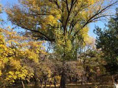 -国家植物园南园