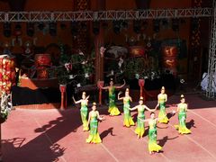 -呀路古热带植物园