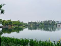 -武汉动物园