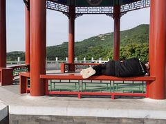 -北京西山国家森林公园