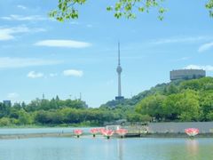 -月湖风景区