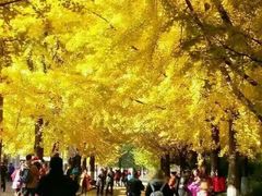 -辽东学院(南校区)