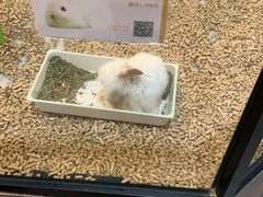 -宠物世家(仲盛世界商城店)