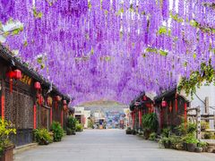 -婺源梦里老家大型山水实景演出