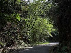 -午潮山国家森林公园