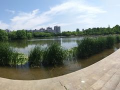 -新江湾城公园