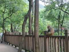 -黔灵山公园