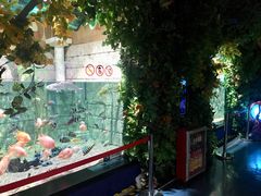 游乐设施-正佳极地海洋世界