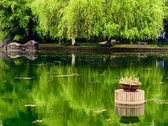-环城公园-琥珀潭