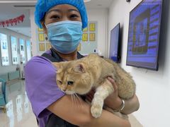 -北京观赏动物医院·24小时大型综合·猫专科·异宠专科