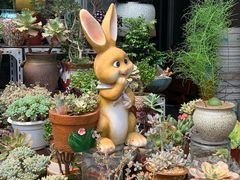 -曲阳花鸟市场(曲阳路店)