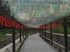 -九龙潭景区