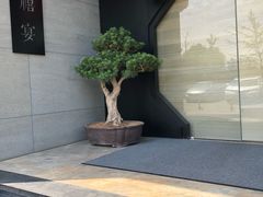 -禧宴Joyous Restaurant(禧园店)