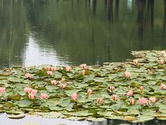 -白鹭湾湿地公园