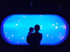 -合肥海洋世界
