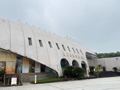 -自贡恐龙博物馆