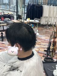 -IDOL-PLUS