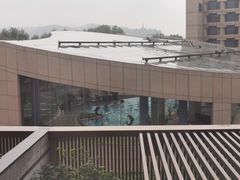 -杭州君悦酒店