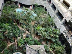 -黑龙江中医药大学附属第一医院