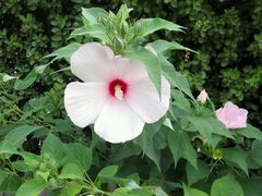 -朝阳公园游乐园